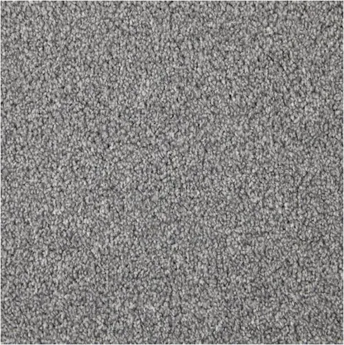 Apollo Elite Grey Partridge